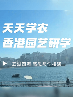 与香港园艺学会联合举办香港园艺研学，专业园境师带队讲解。